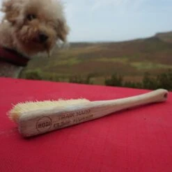 Moon Voyager Brush -Rock Climbing Series Store 001 bp 2572 13 25 05 48 copy