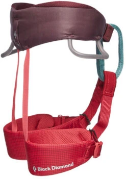 Black Diamond Momentum Kids Harness -Rock Climbing Series Store 2d7c30be 5de6 4c53 8a90 200c8e809db9651103 6012 MOMENTUMHARNESS KIDS WildRose Profile