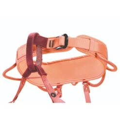 Petzl Corax LT Womens Harness 20 Petzl Corax LT Womens Harness -Rock Climbing Series Store C052BB CORAX LT WOMEN CORAL focus 2 HighRes