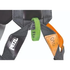 Petzl Simba Kids Harness -Rock Climbing Series Store C065BA SIMBA CLIMBING focus 4 HighRes