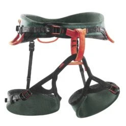 Wild Country Session Harness