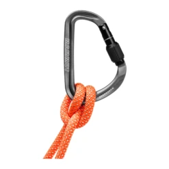 Mammut Workhorse HMS Screwgate -Rock Climbing Series Store workhorse.hms .1